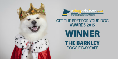 eDogAdvisor Awards 2015 Winner